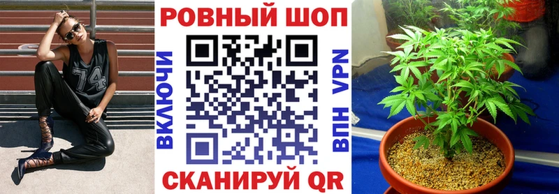 Продажа наркотиков Шенкурск ГАШ  Бошки Шишки  Cocaine  A PVP  Галлюциногенные грибы  Мефедрон 