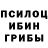 Псилоцибиновые грибы Magic Shrooms DLaN VLoG