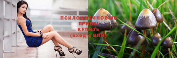 PSILOCYBIN Алзамай