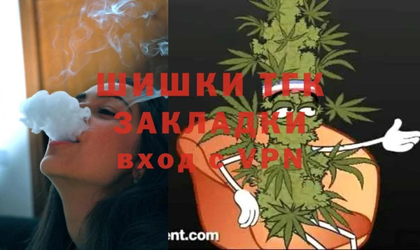 PSILOCYBIN Алзамай